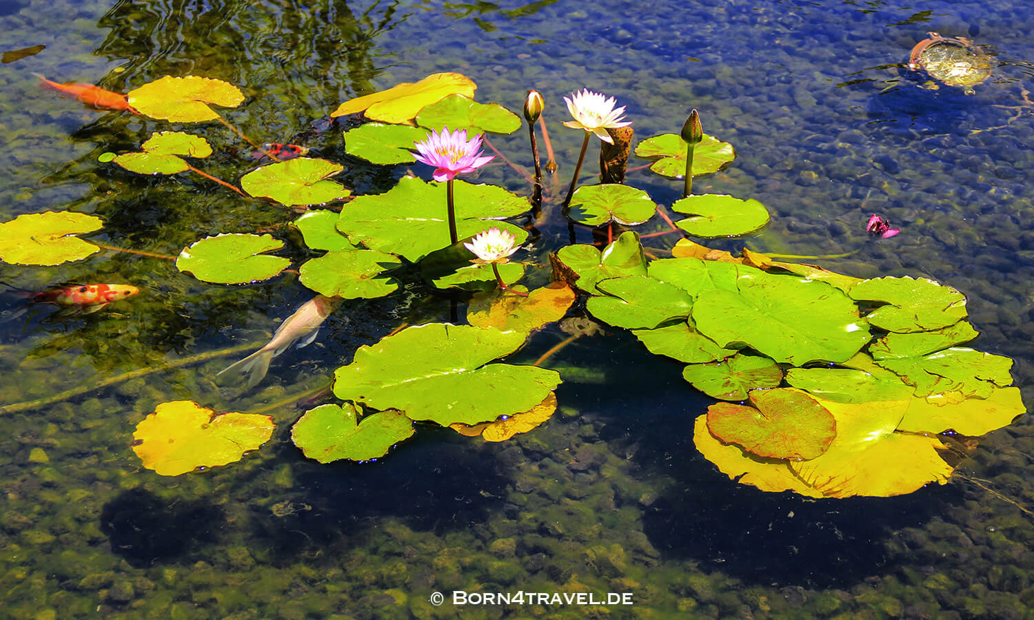 Shopping Mall,Fashion Island in Newport Beach,California,USA,born4travel.de