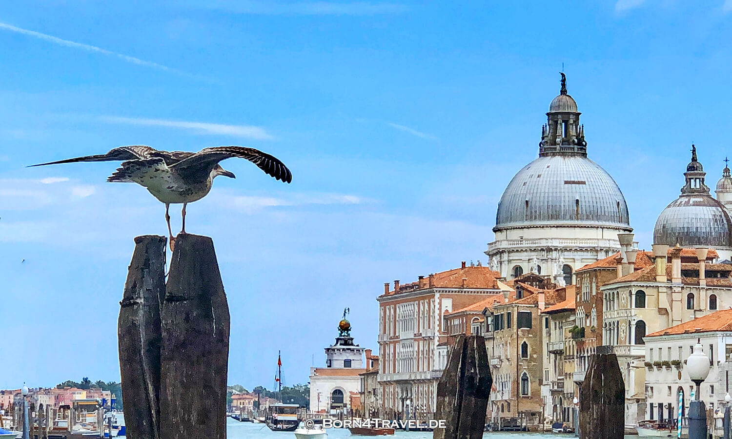 Sightseeing  mit Vaporetto, in Venedig,Italien,born4travel.de