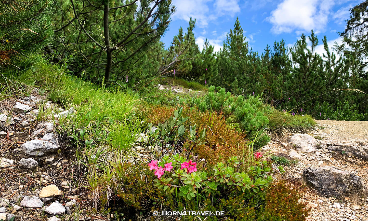 Wandern auf der Plätzwiese,Naturpark Fanes Sennes Prags, Dolomiten,Südtirol,born4travel.de