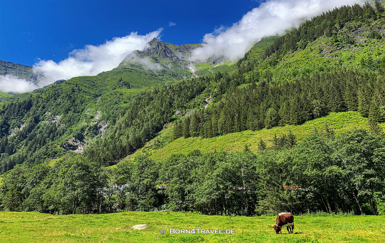 Hintersee,Mittersill,NP Hohe Tauern,Österreich,born4travel.de
