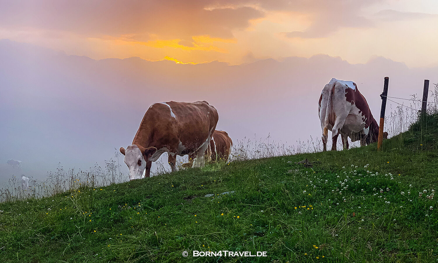 Wildkogel,Neukirchen am Großvenediger,Österreich,born4travel.de
