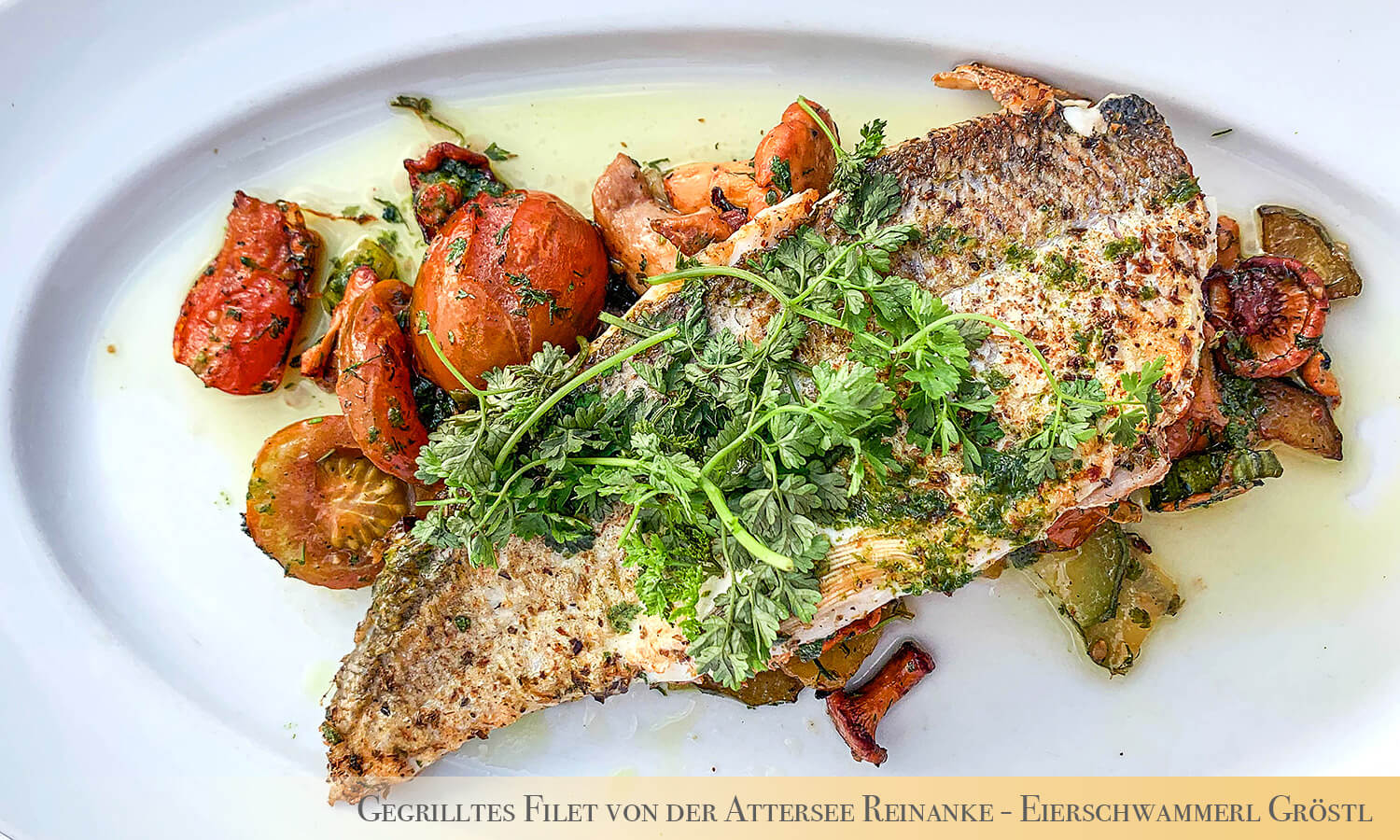 Dinner M32,Salzburg,Österreich,born4travel.de