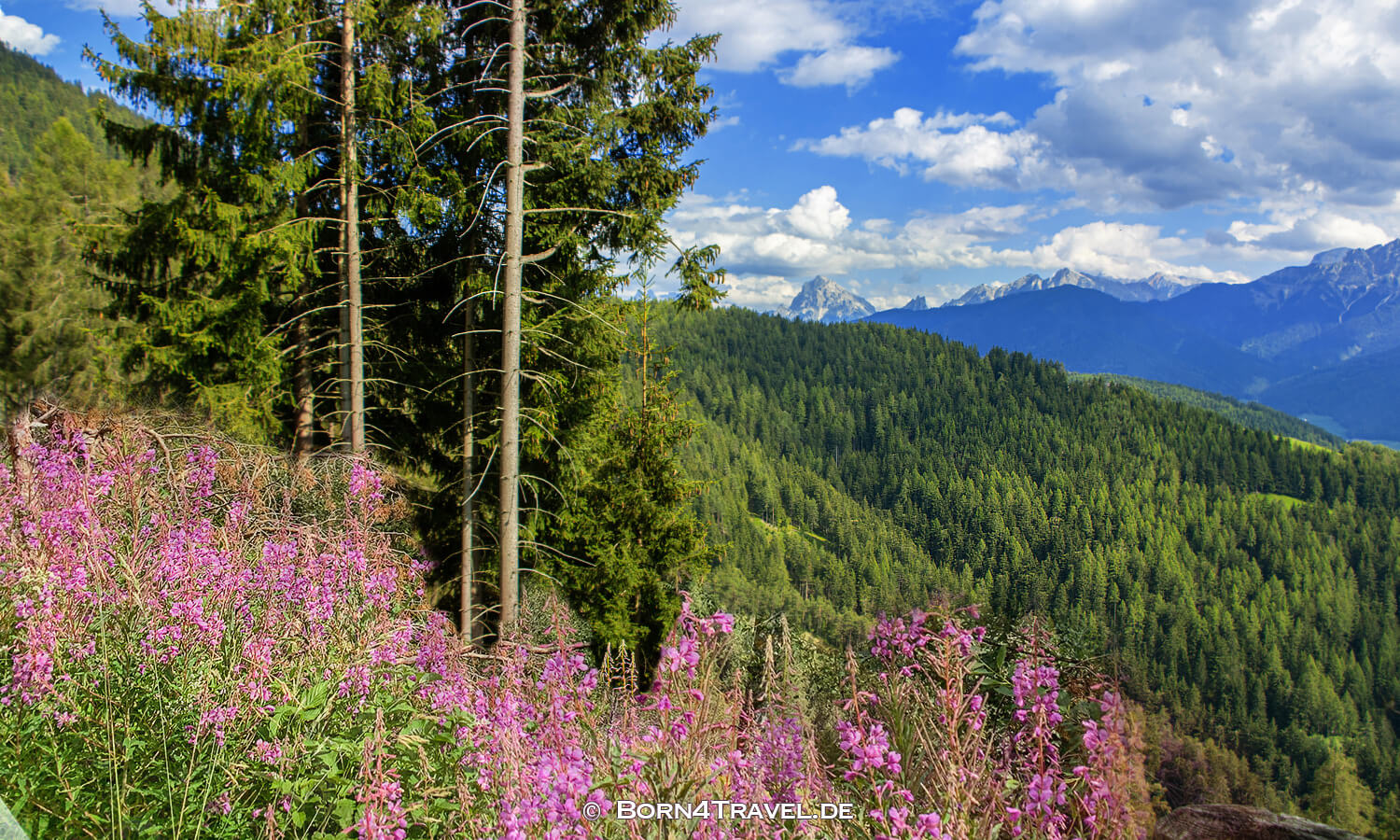 Erdpyramiden von Percha,Südtirol in Italien,born4travel.de Erdpyramiden von Percha,Südtirol in Italien,born4travel.de