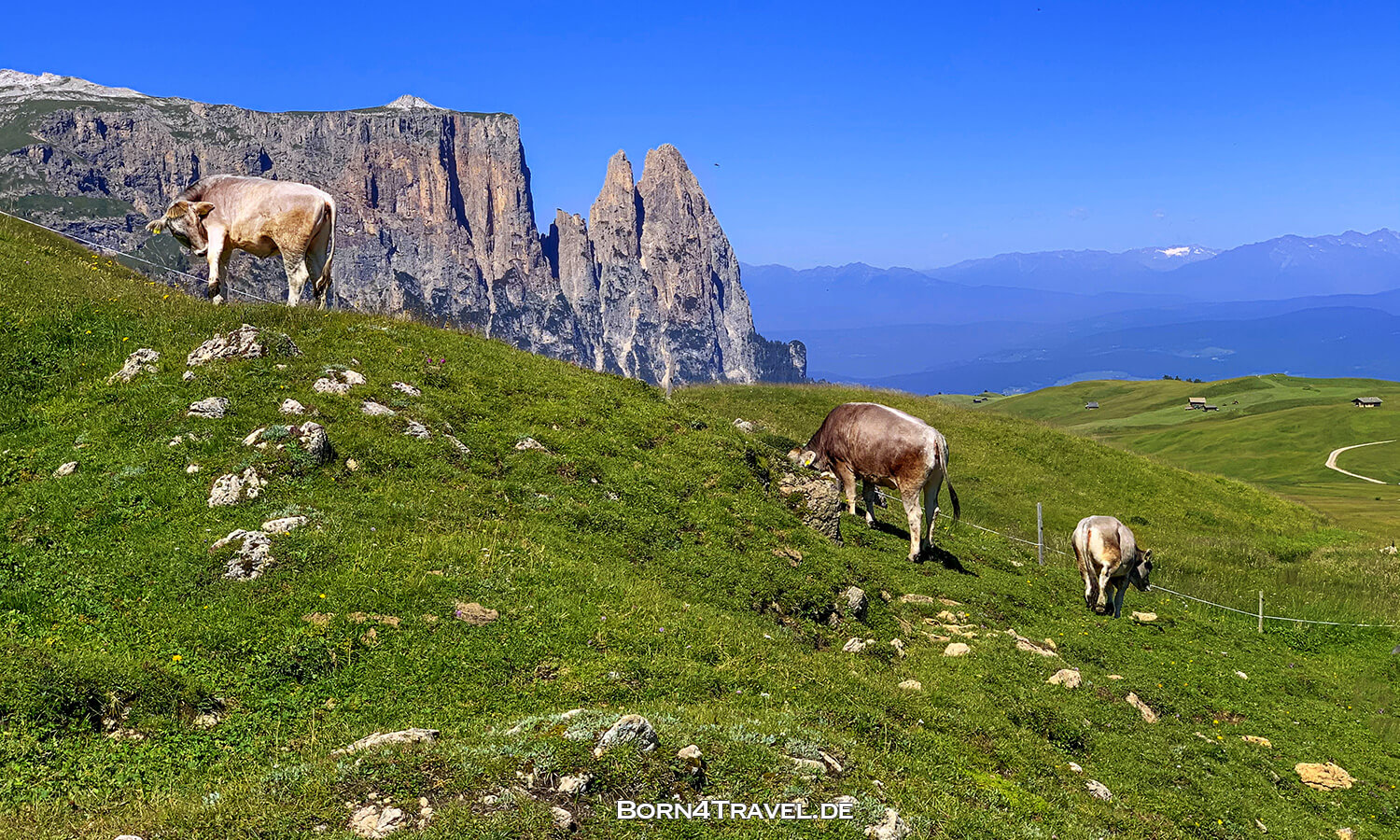 auf der Seiser Alm,Südtirol,Italien,born4travel.de