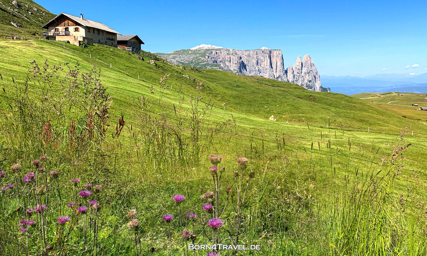 auf der Seiser Alm,Südtirol,Italien,born4travel.de