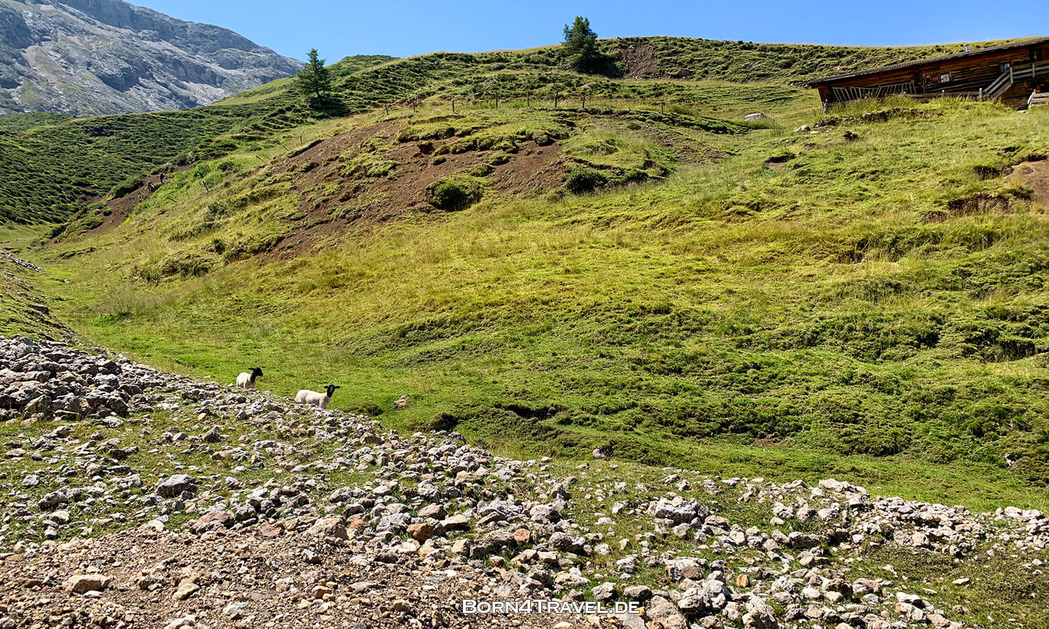 auf der Seiser Alm,Südtirol,Italien,born4travel.de