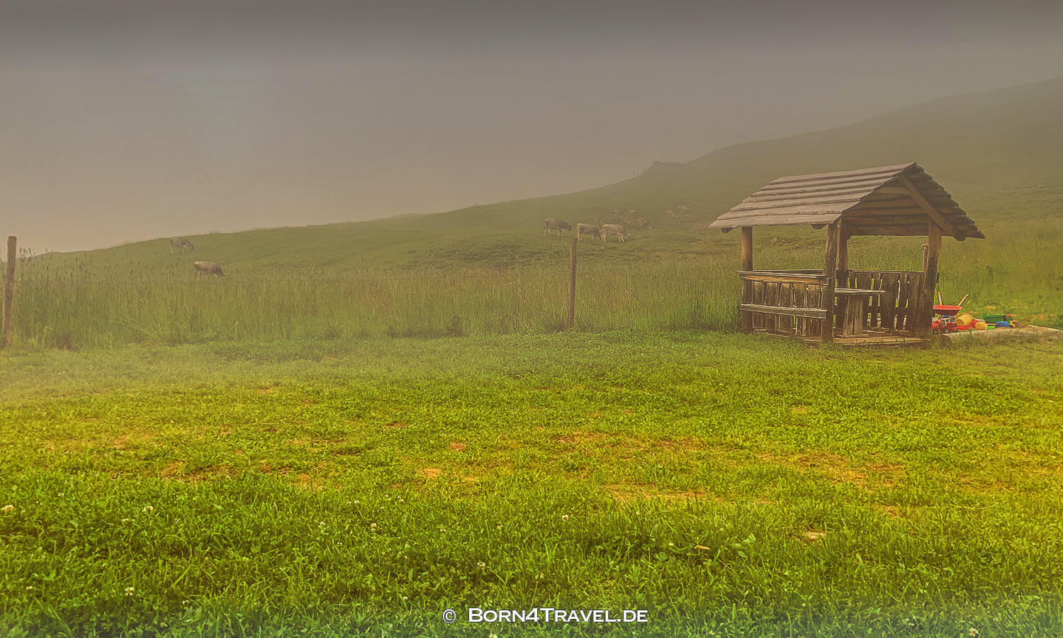 auf der Seiser Alm,Südtirol,Italien,born4travel.de