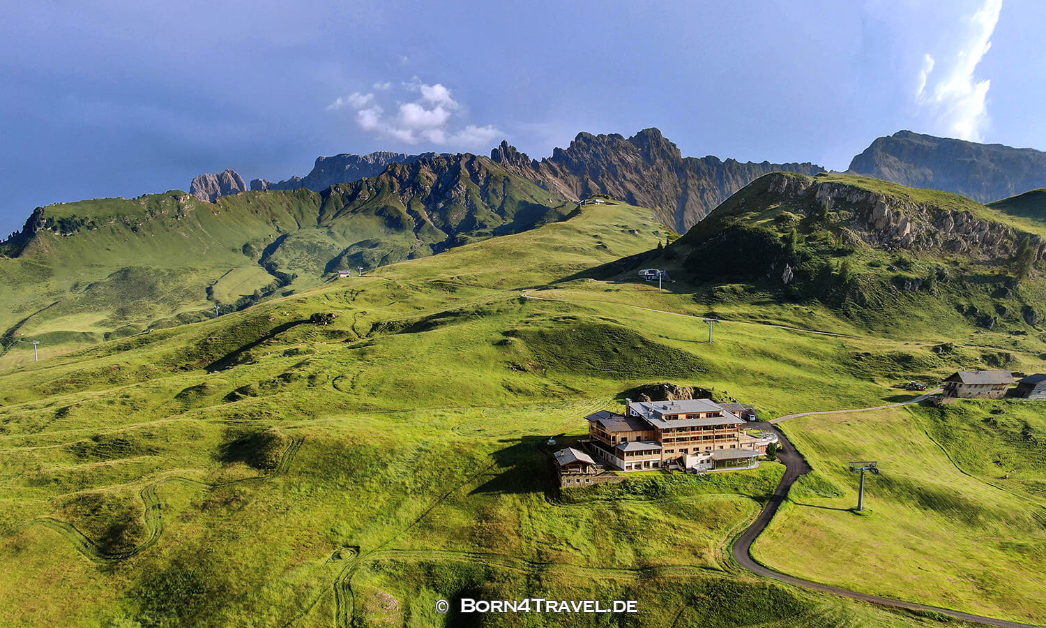 Goldknopf auf der Seiser Alm,Südtirol,Italien,born4travel.de