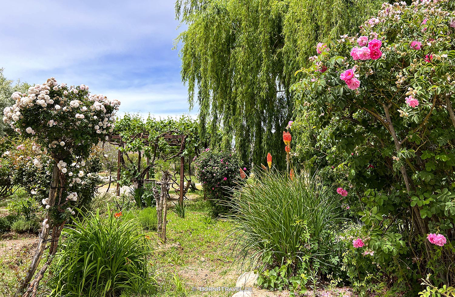 Finca Santana,Cachi,Argentina,born4travel.de