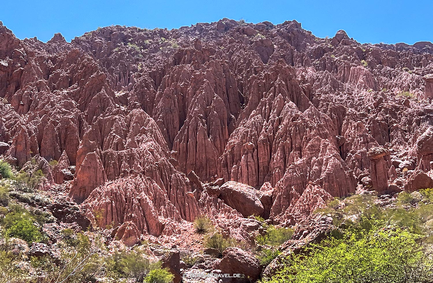 Quebrada de Cafayate,Provinz Salta,Argentinien,born4travel.de