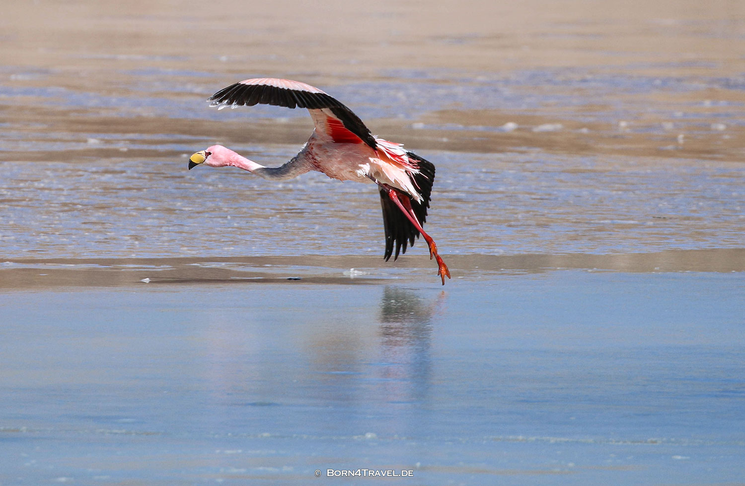 Vulcan Cerro Galán, El Peñon,Argentinien2023,born4travel.de