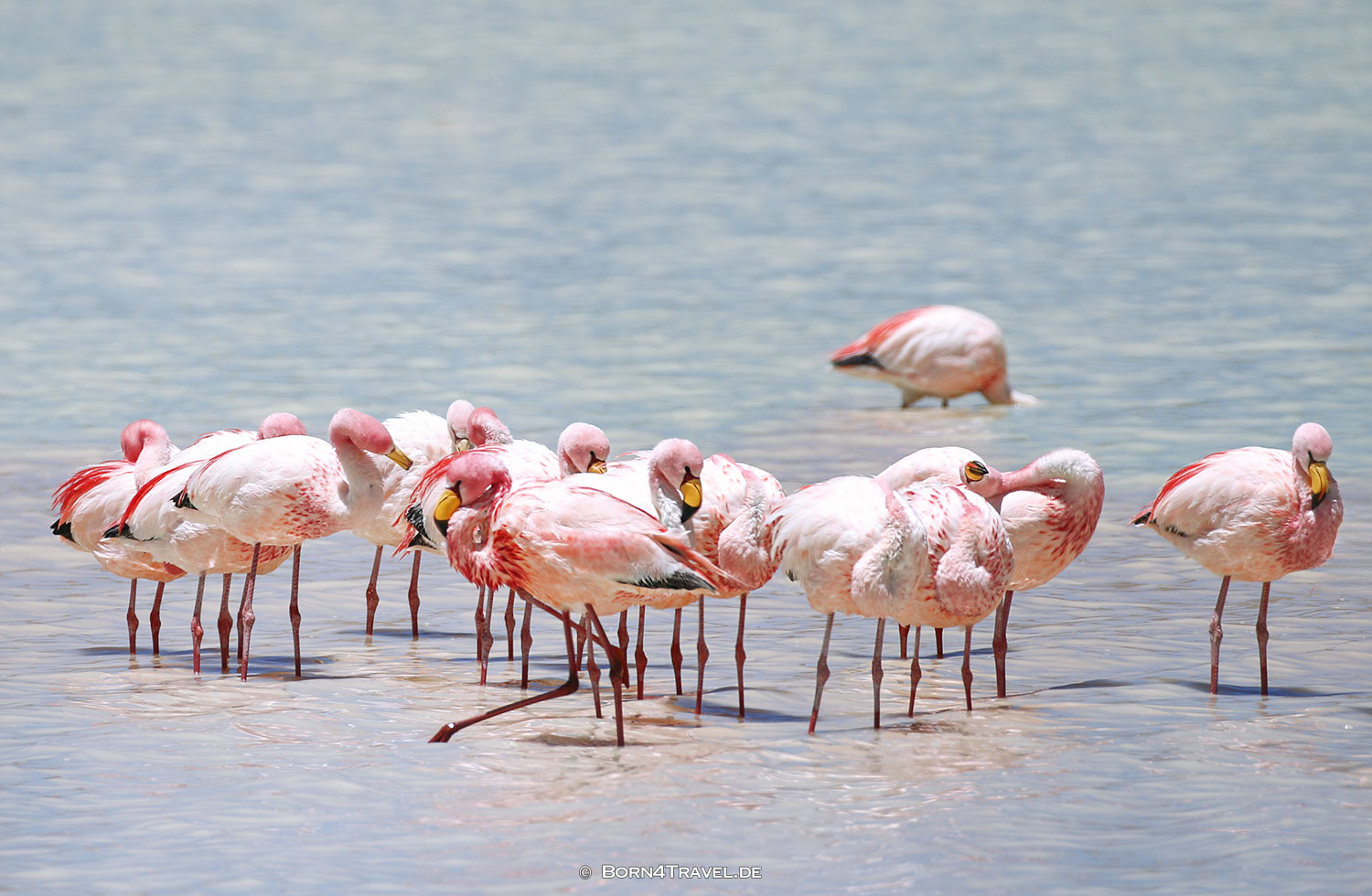 Laguna Grande, Vulkan Galan,Argentinien2023,born4travel.de
