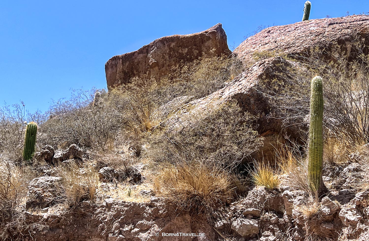Ruta 36 nach El Peñon,Argentinien2023,born4travel.de