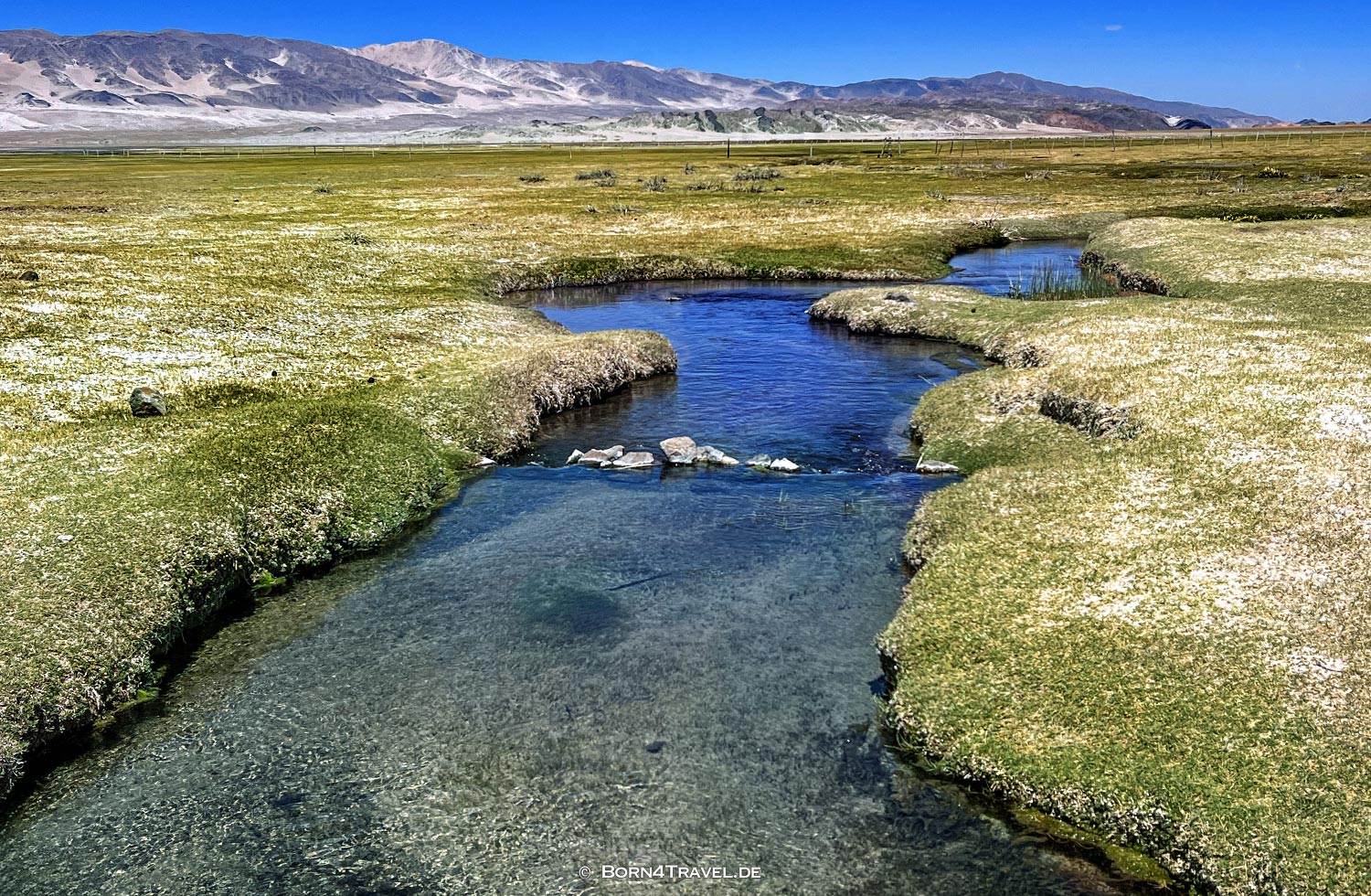Laguna Blanca near El Peñon,Argentinien2023,born4travel.de