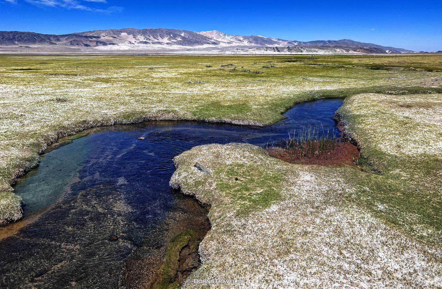 Laguna Blanca near El Peñon,Argentinien2023,born4travel.de