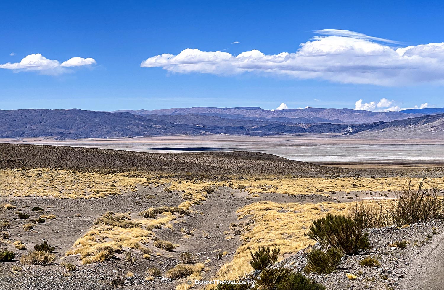 Laguna Blanca near El Peñon,Argentinien2023,born4travel.de