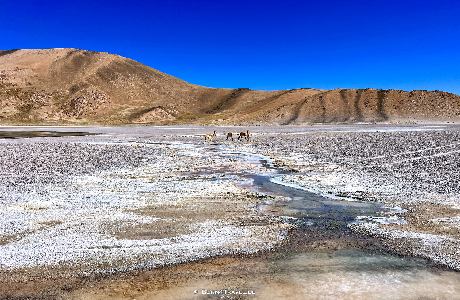 Caldera de Vulcan Cerro Galán, El Peñon,Argentinien2023,born4travel.de
