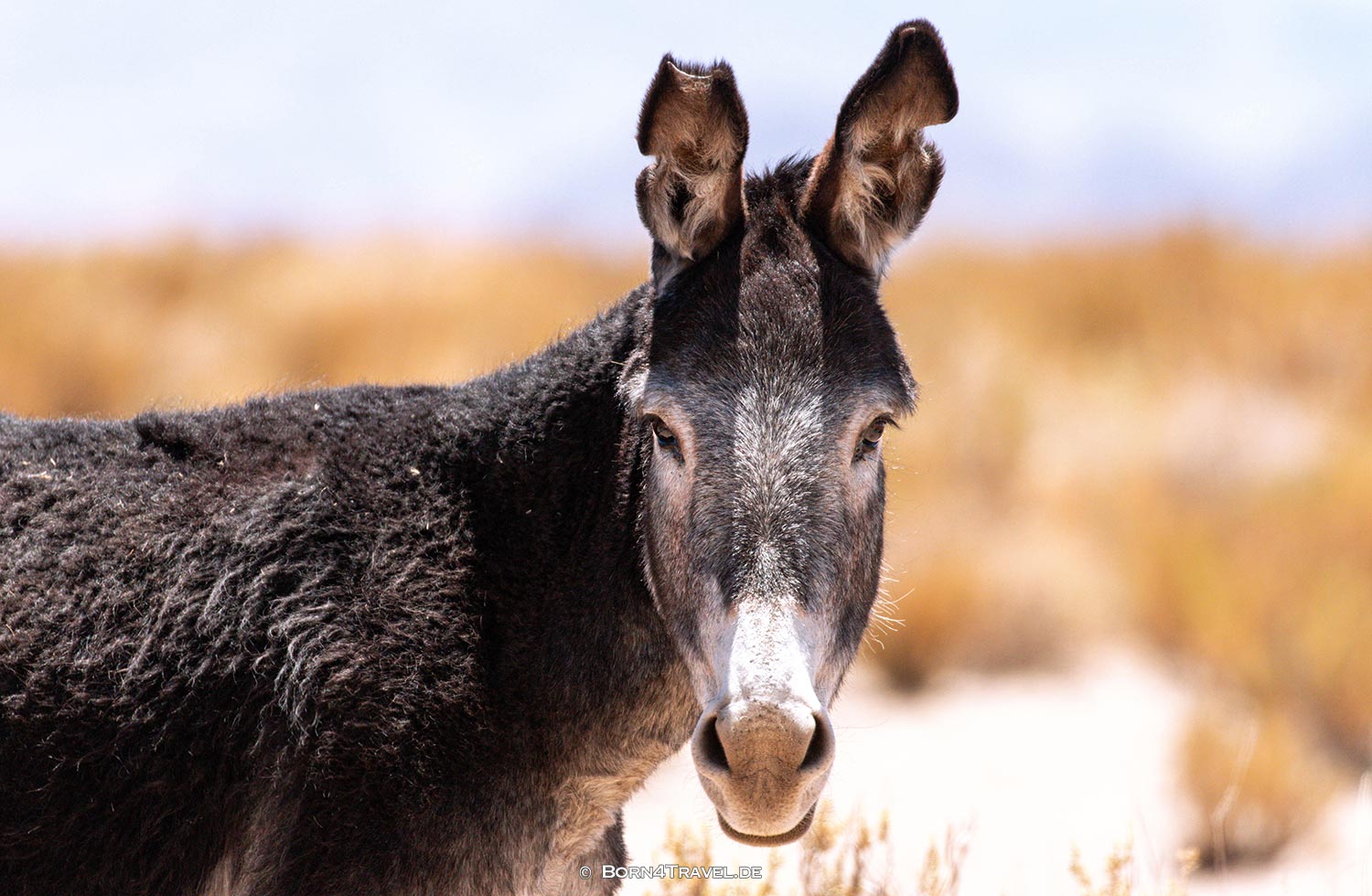 RN79 in Jujuy,Argentinien,born4travel.de