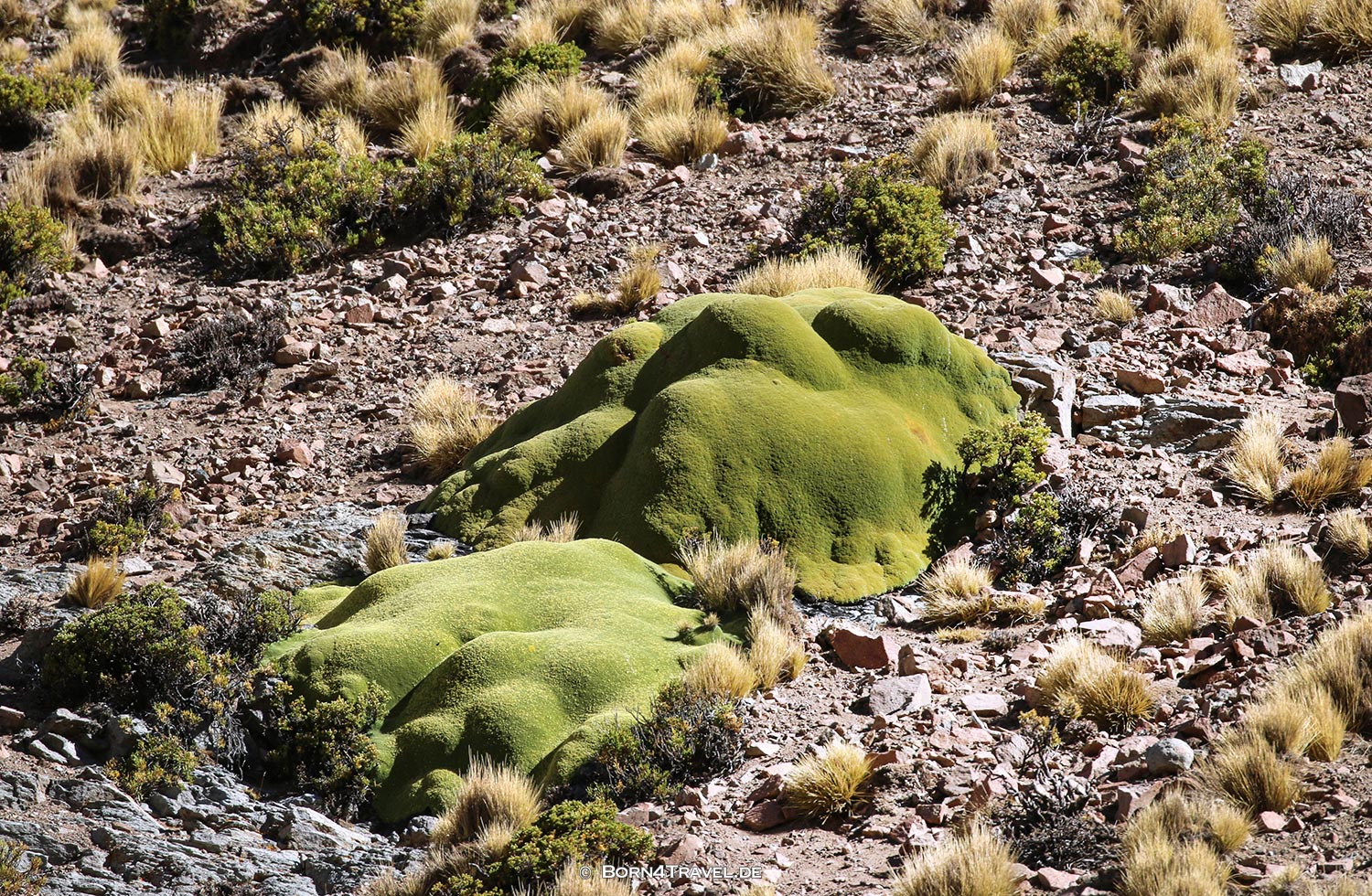 RN79 in Jujuy,Argentinien,born4travel.de