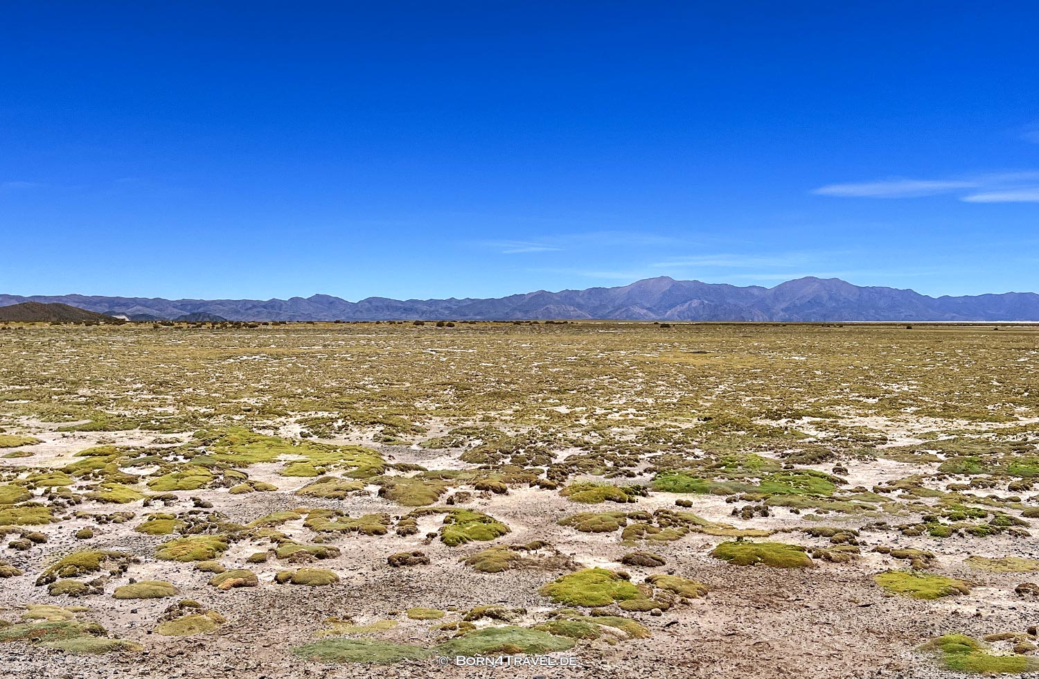 RN79 in Jujuy,Argentinien,born4travel.de