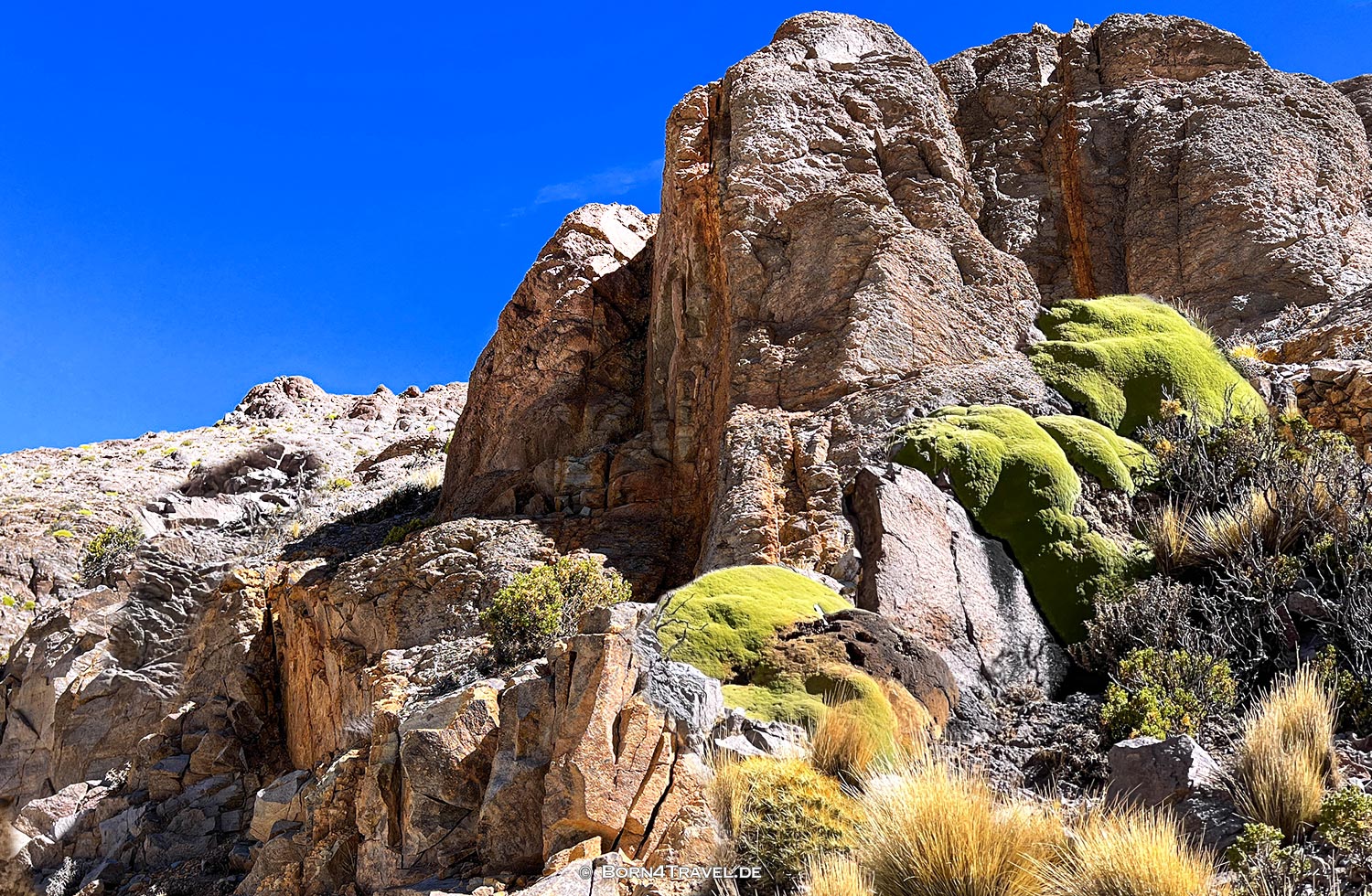 Abra el Acay auf der Ruta 40 in Jujuy,Argentinien,born4travel.de