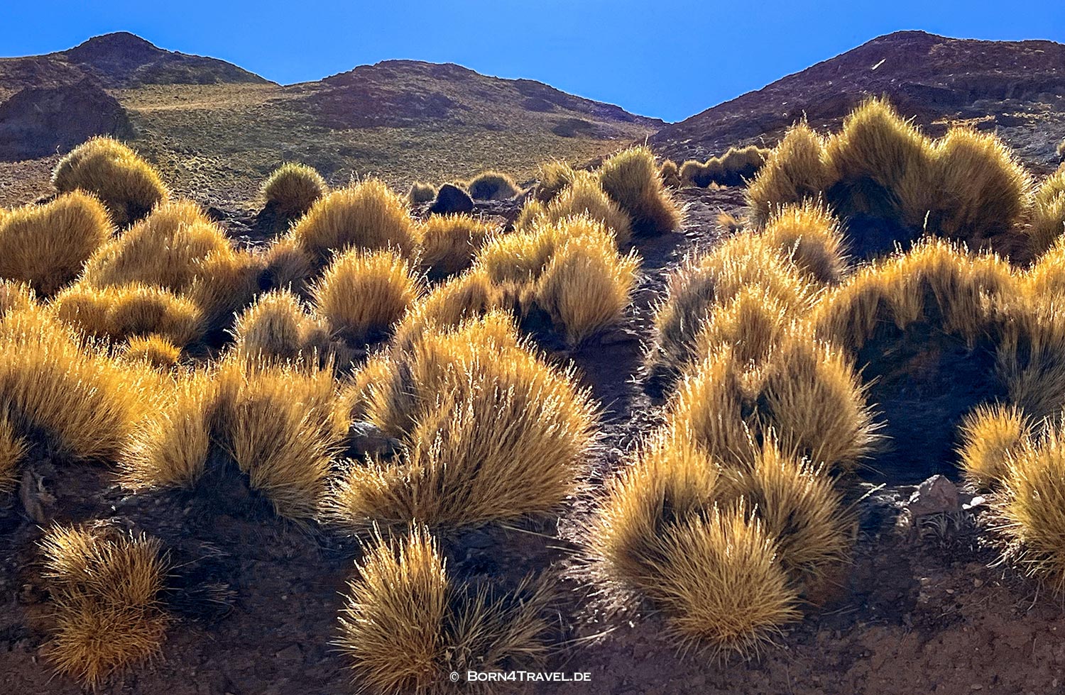 Abra el Acay auf der Ruta 40 in Jujuy,Argentinien,born4travel.de