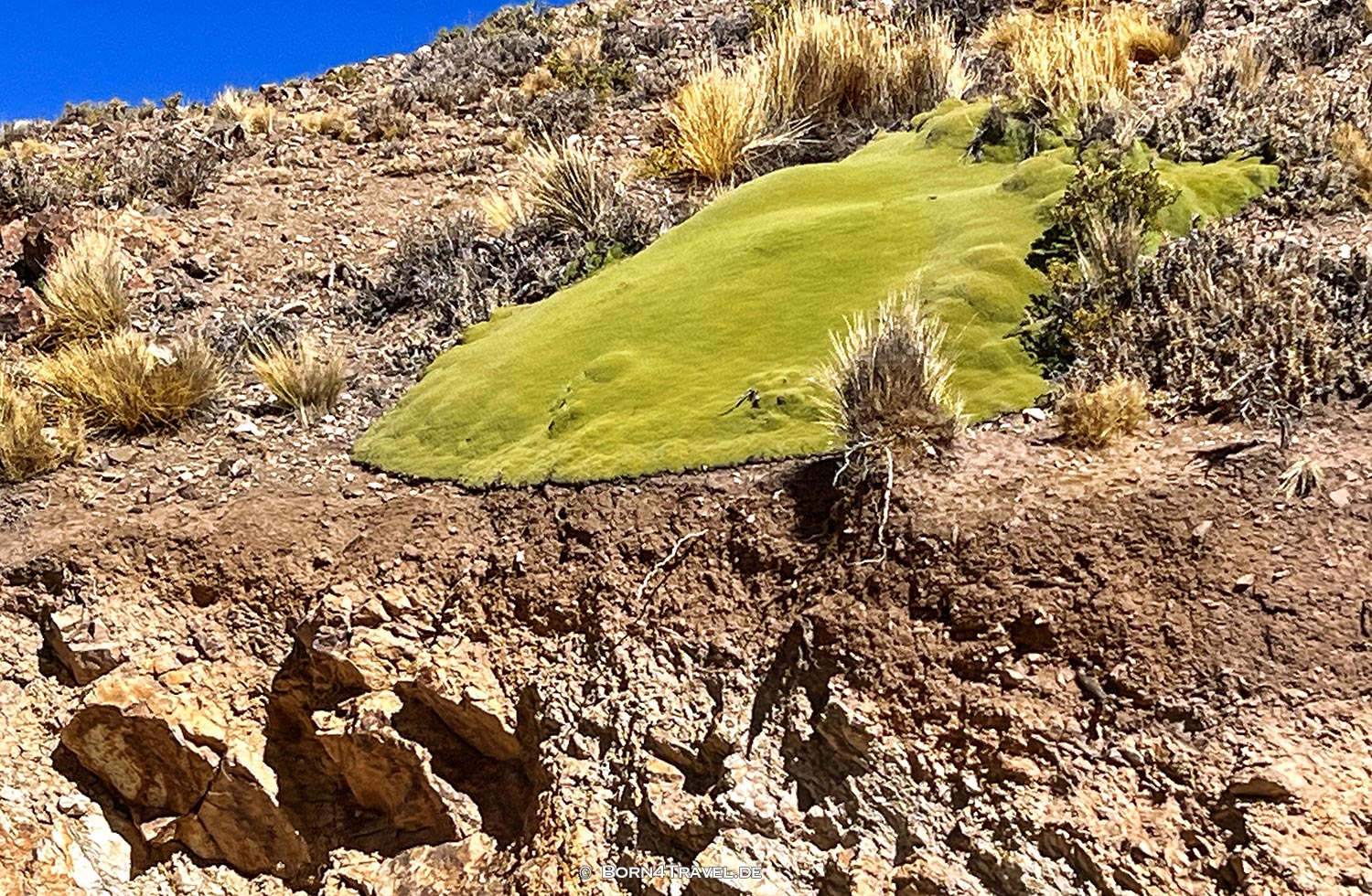 Abra el Acay auf der Ruta 40 in Jujuy,Argentinien,born4travel.de