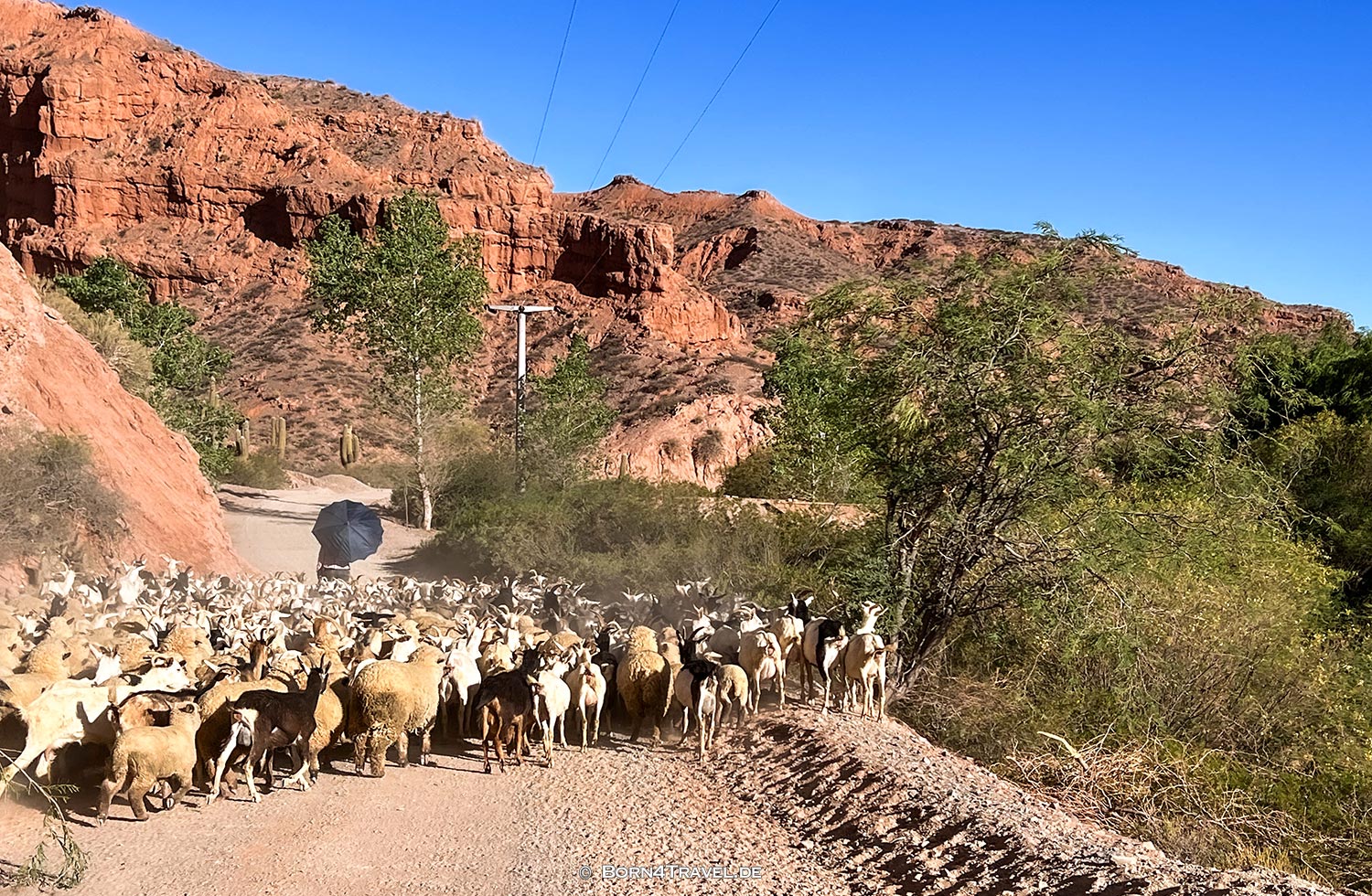  Ruta 40 in Jujuy,Argentinien,born4travel.de