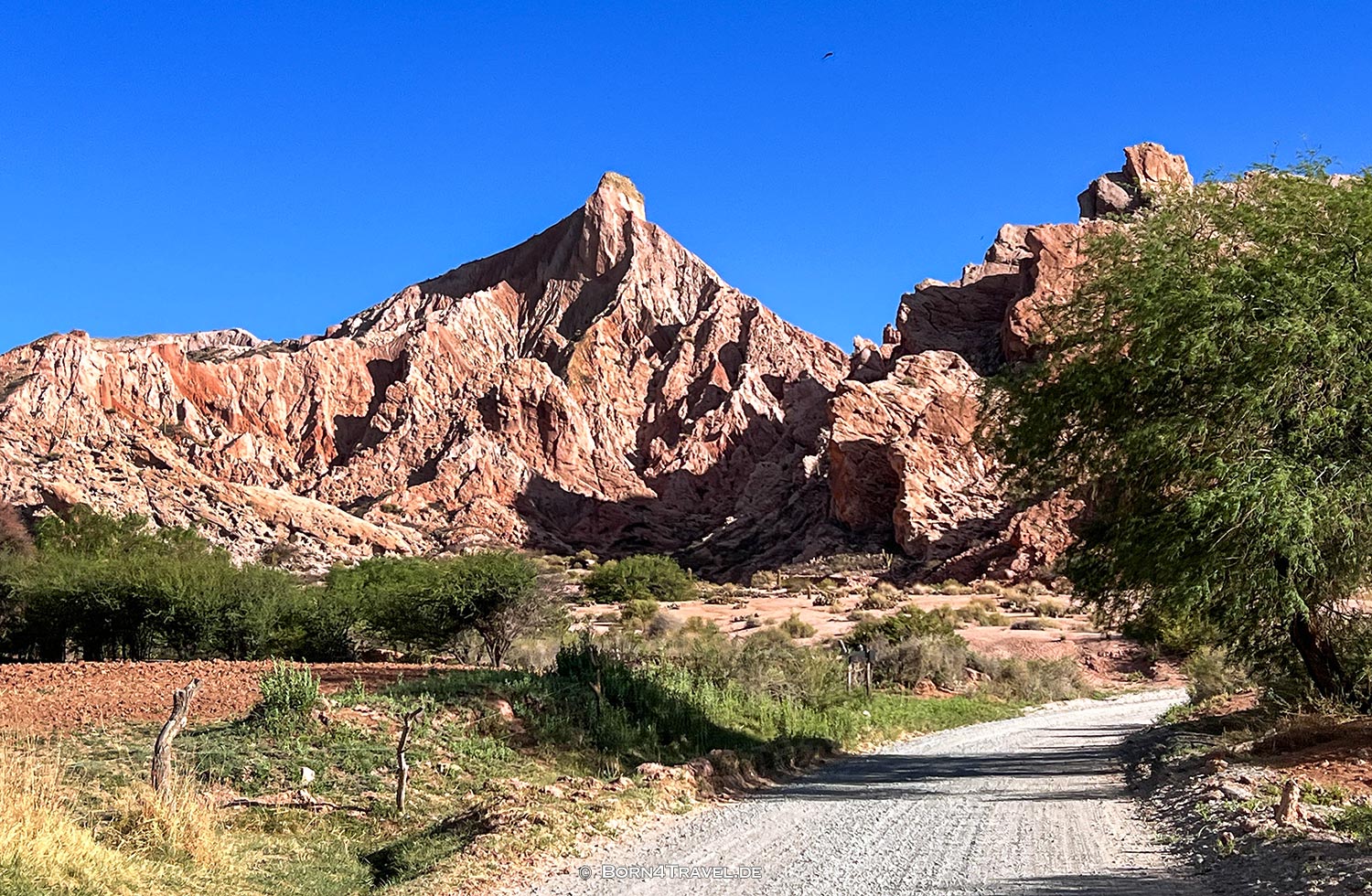  Ruta 40 in Jujuy,Argentinien,born4travel.de