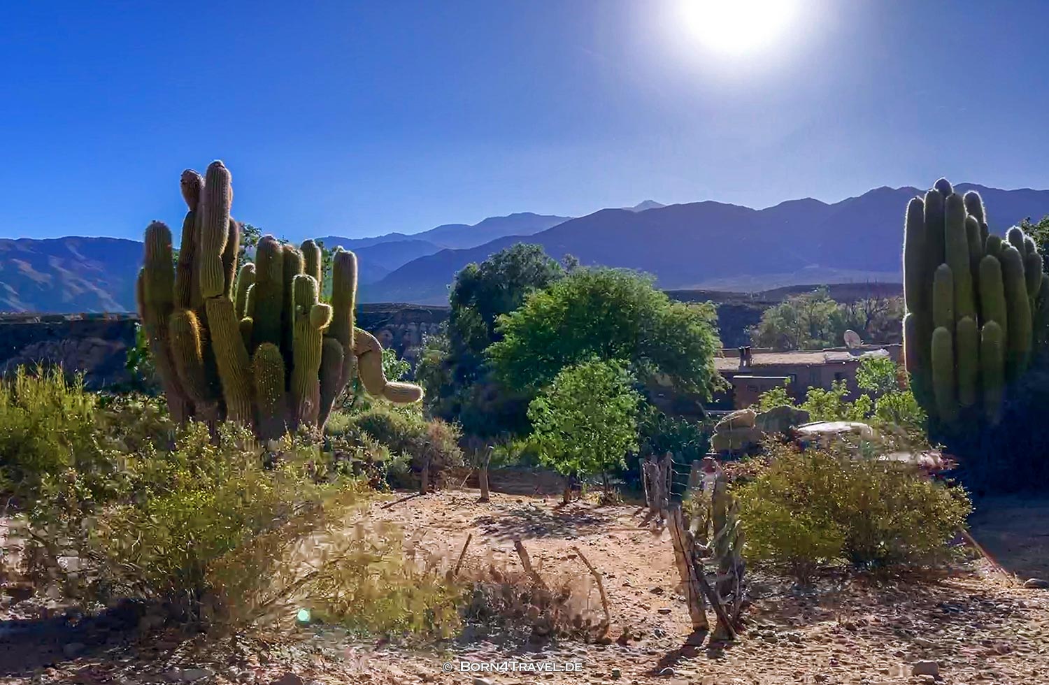  Ruta 40 in Jujuy,Argentinien,born4travel.de