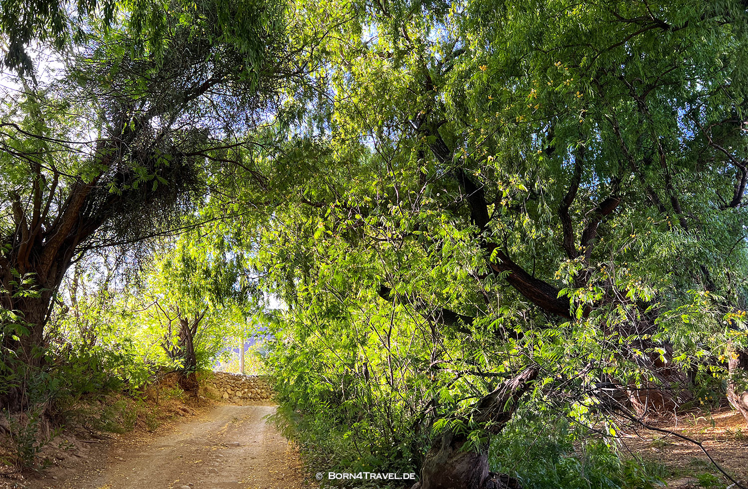 Finca Santana in Cachi Argentina,born4travel.de