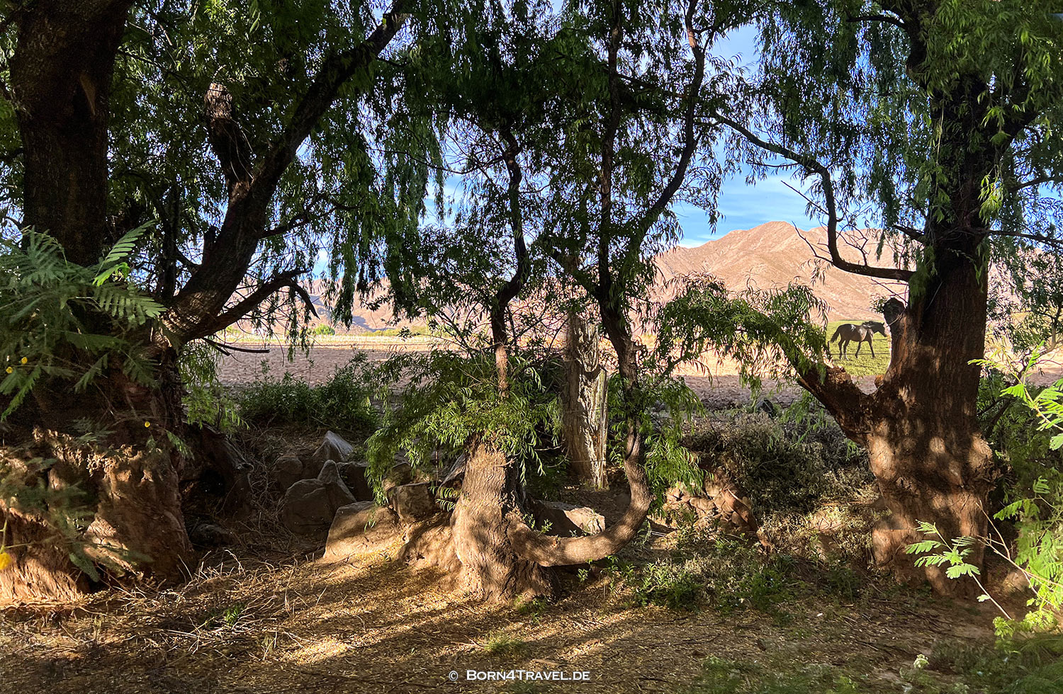 Finca Santana in Cachi Argentina,born4travel.de