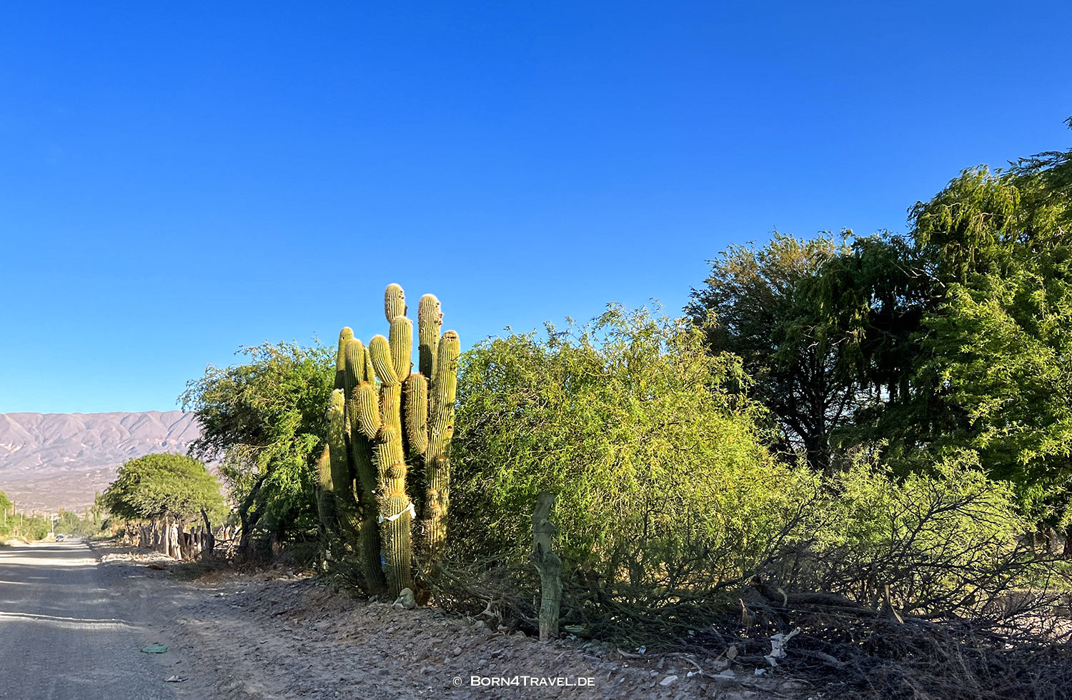 Finca Santana in Cachi Argentina,born4travel.de
