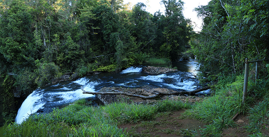 Zillie Falls, atherton tableland, Queensland,australia, australien