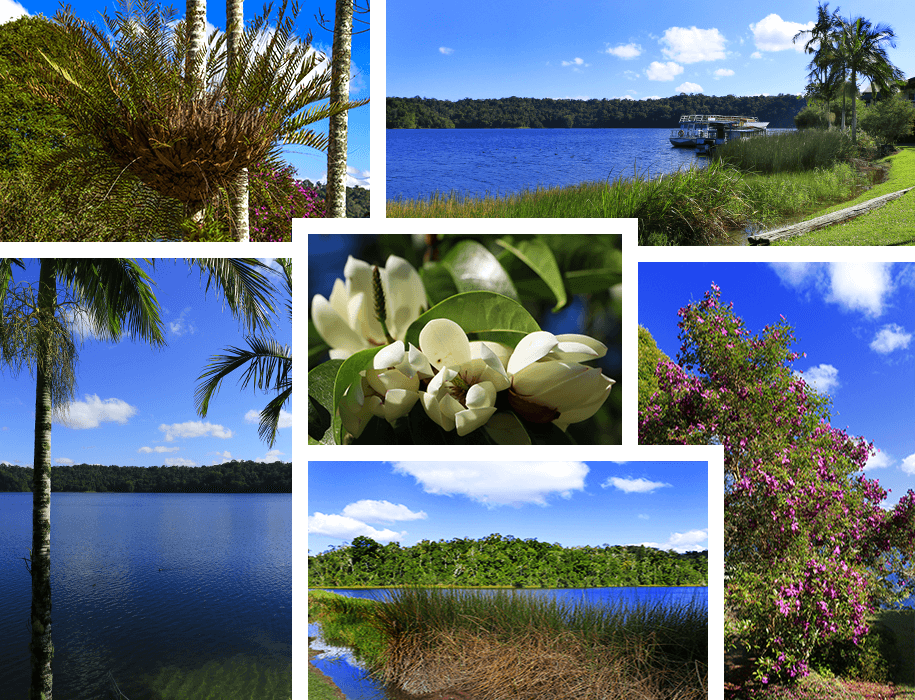 Lake Barrine, Queensland,australia, australien