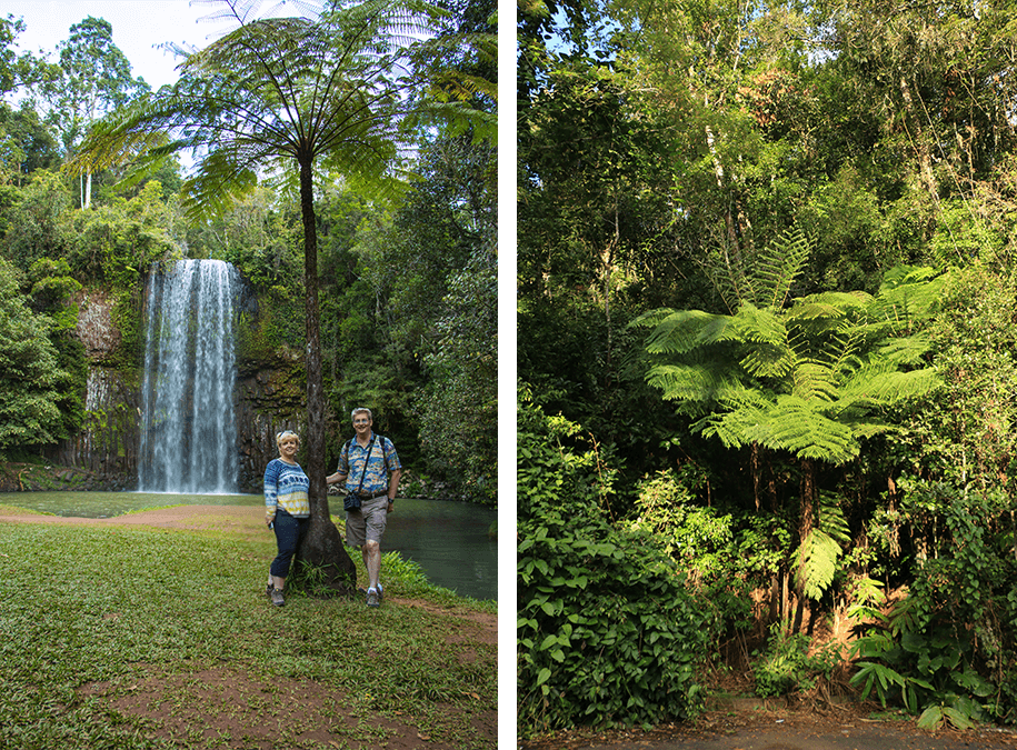 Milla Milla Falls, atherton tableland, Queensland,australia, australien