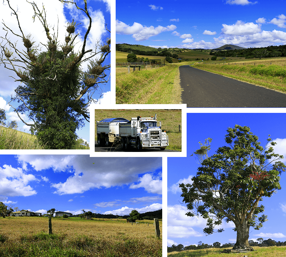 Tablelands, Queensland,australia, australien
