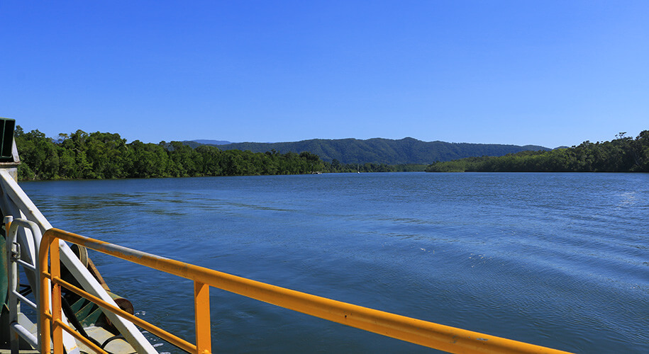 Daintree River, Queensland,australia, australien