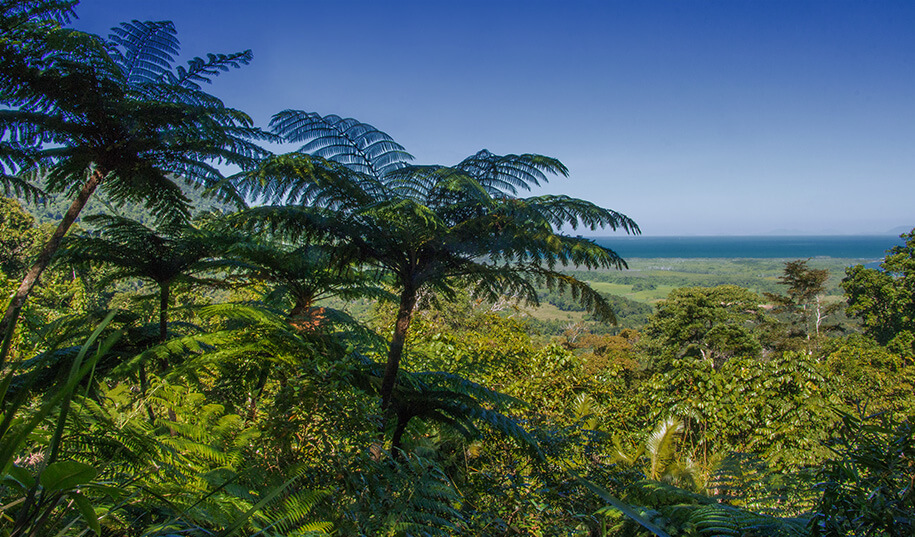 Alexander Lookout, Queensland,australia, australien