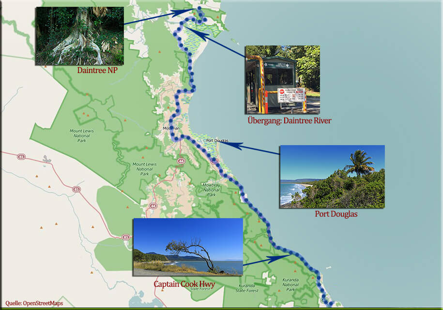 daintree national park, Queensland,australia, australien