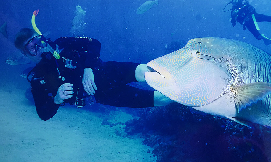 diving great barrier reef, Queensland,australia, australien