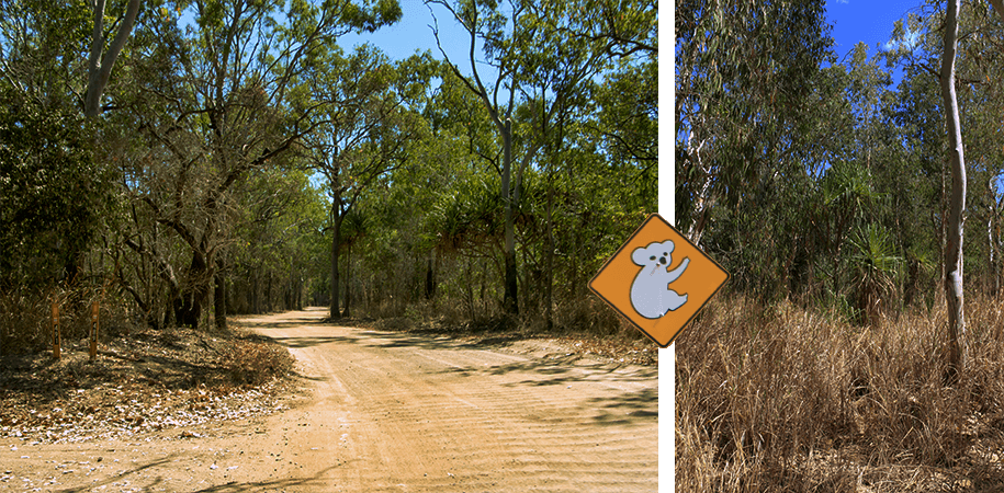 magic island,townsville, Queensland,australia, australien