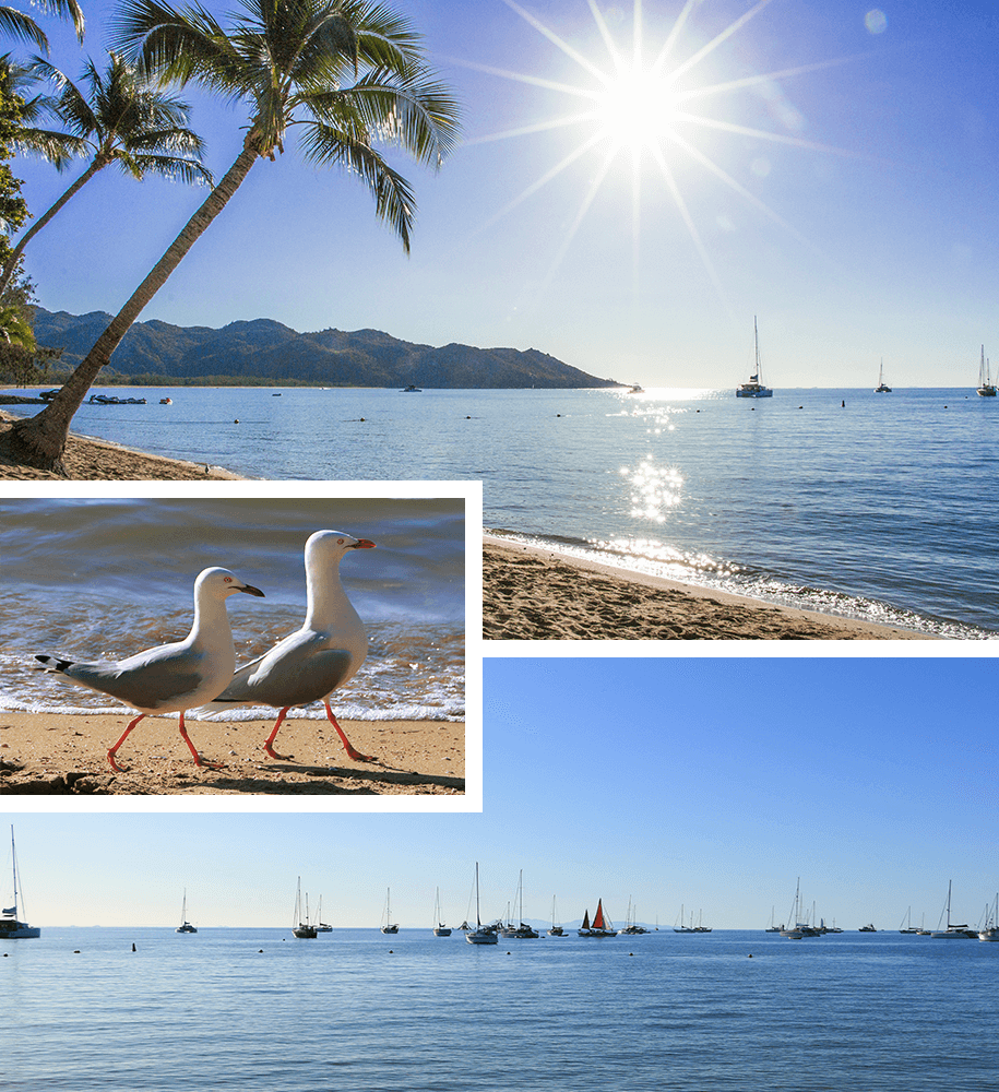 Horseshoe Bay, magic island,townsville, Queensland,australia, australien