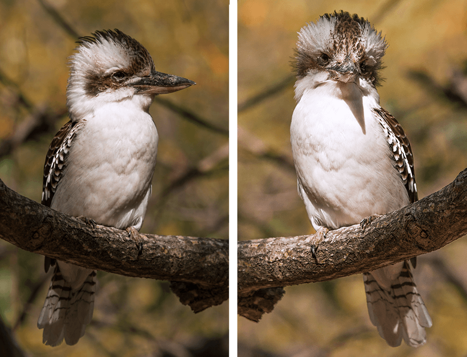 Florence Bay, magic island,townsville, Queensland,australia, australien