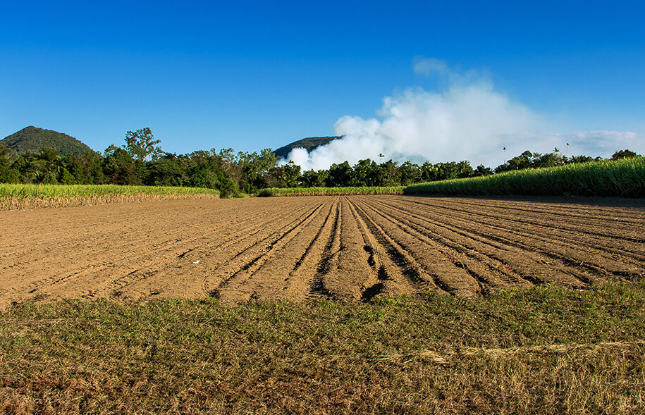 Queensland,australia, australien