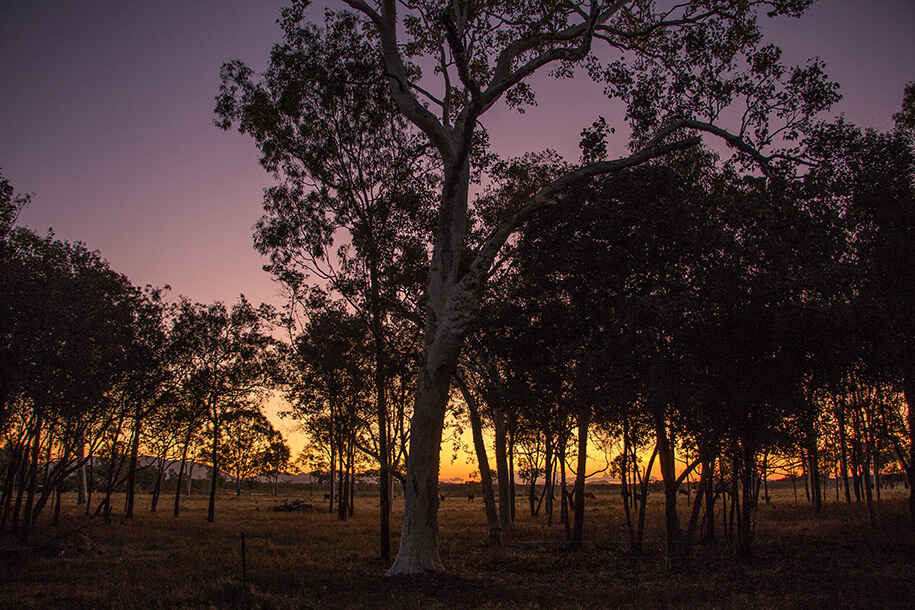 Queensland,australia, australien