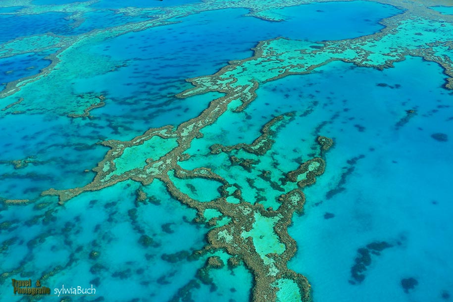 great barrier reef, Airlie Beach,Queensland,australia, australien