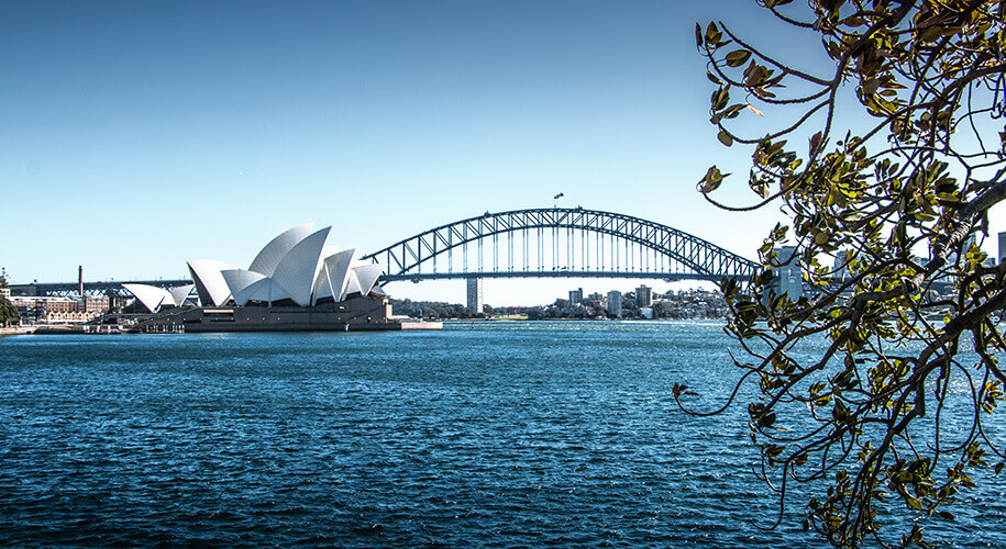 botanical gardens, Mrs Macquaries Chair, sydney