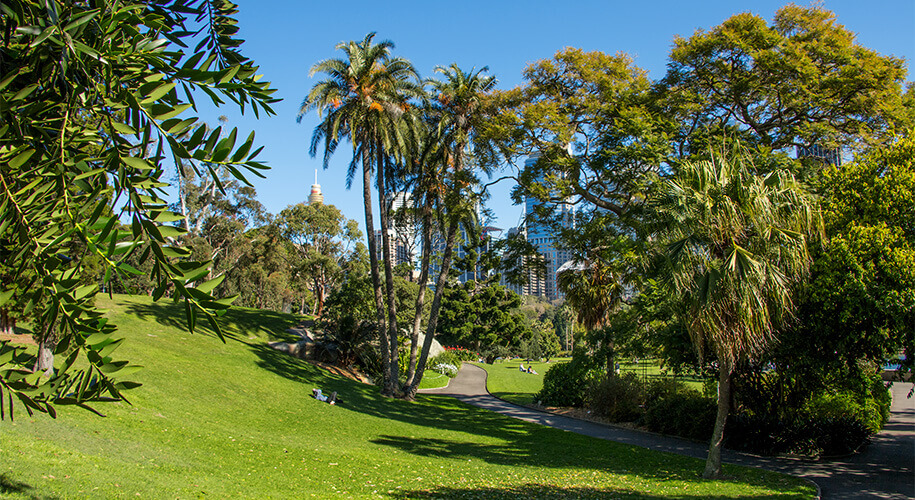 botanical gardens, sydney
