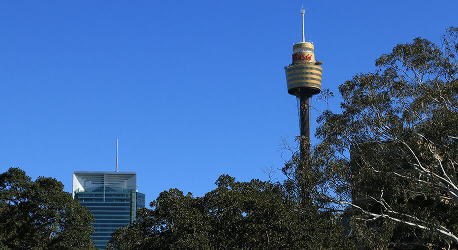 botanical gardens, sydney